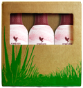 4-Pack Forever Aloe Berry Nectar™
